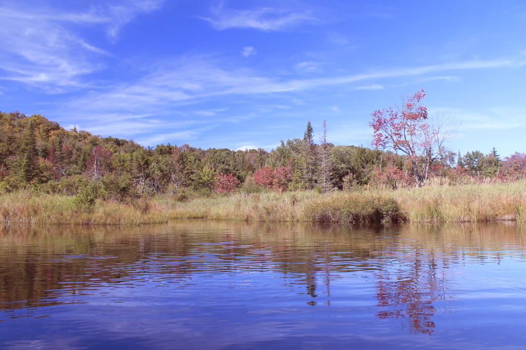 Photo: Hints of Fall