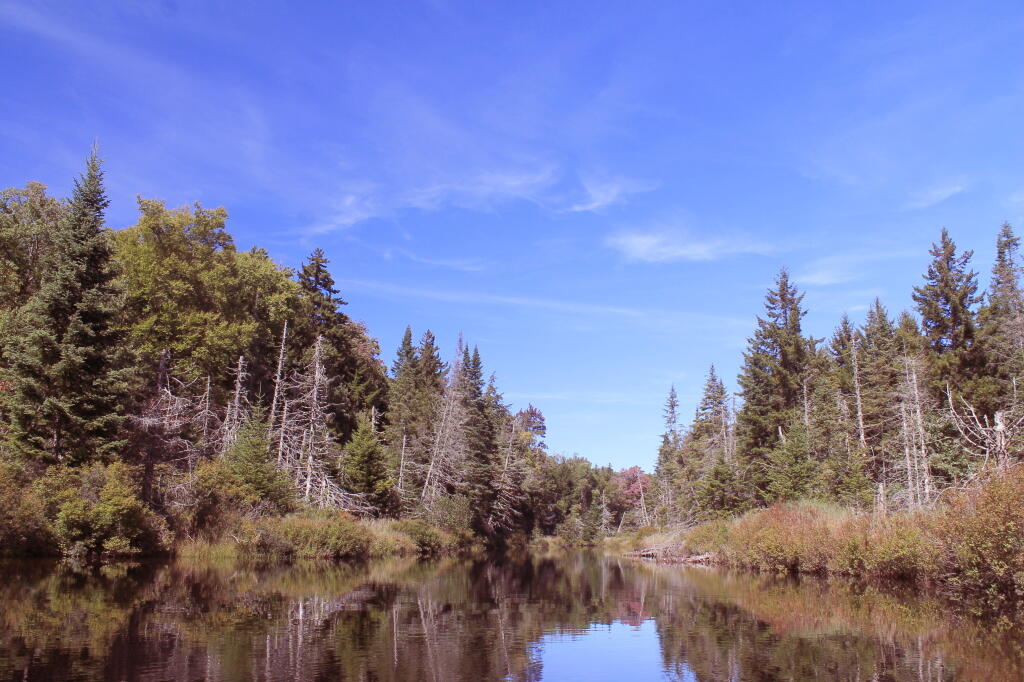 Photo: Scenic Creek Photo: Scenic Creek