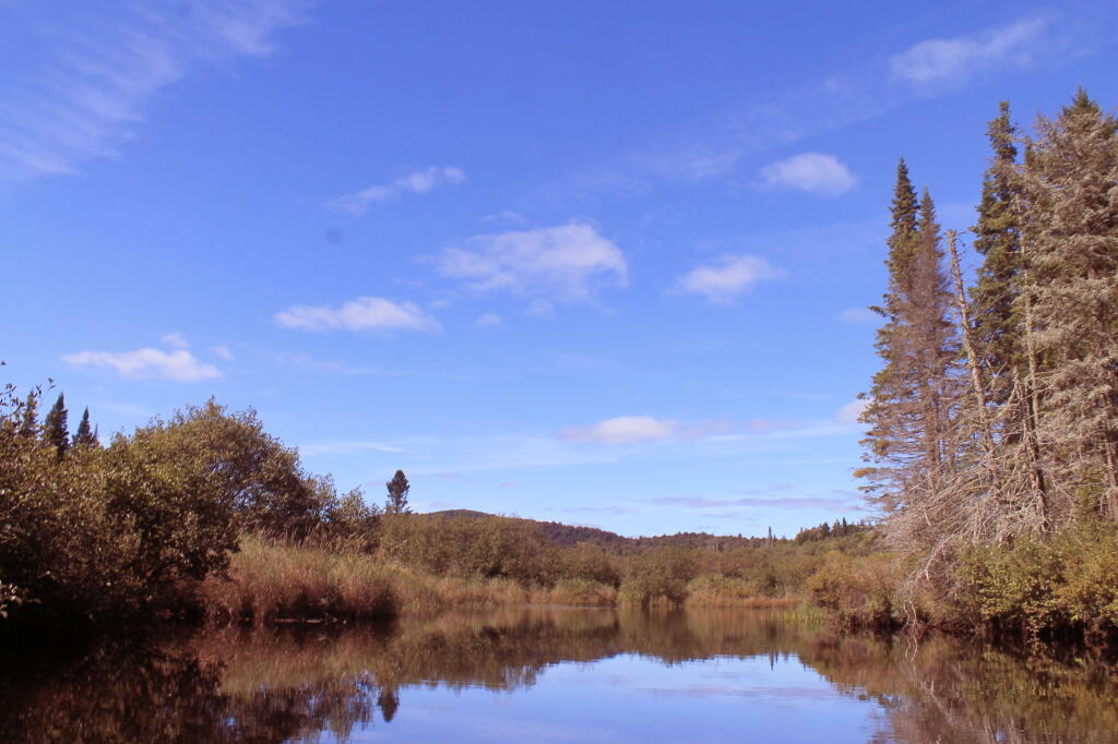 Photo: Powley Place Photo: Powley Place