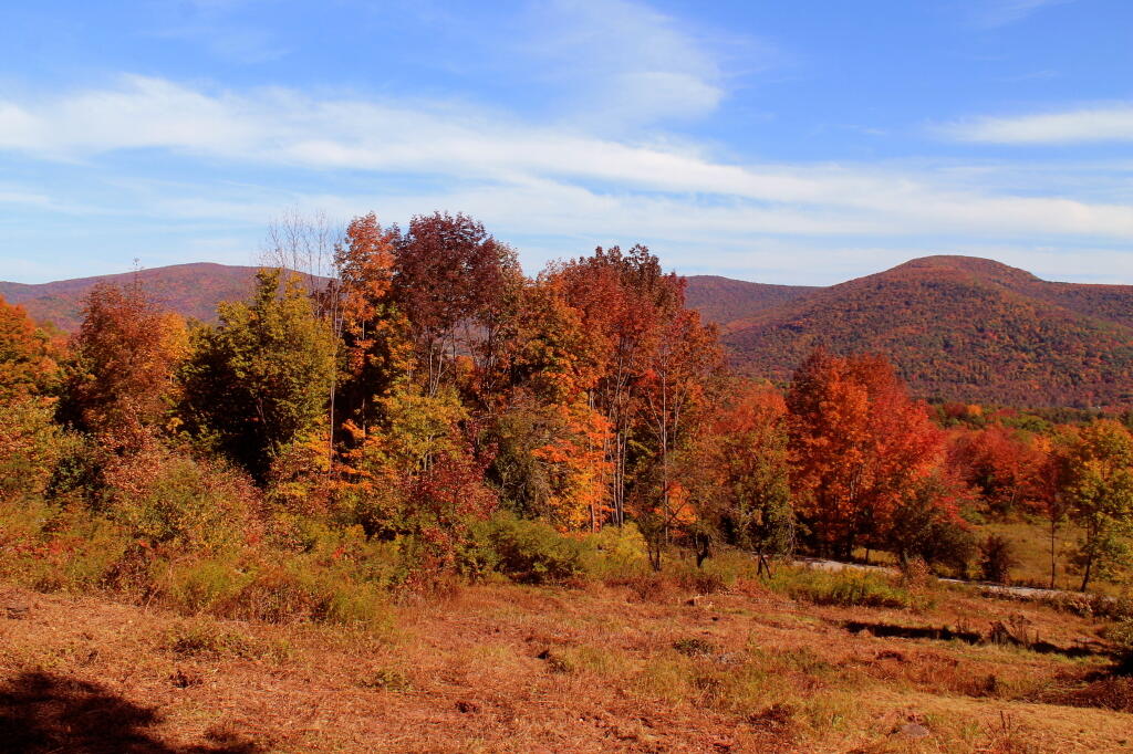 Photo: Another View Near Burroughs Grave