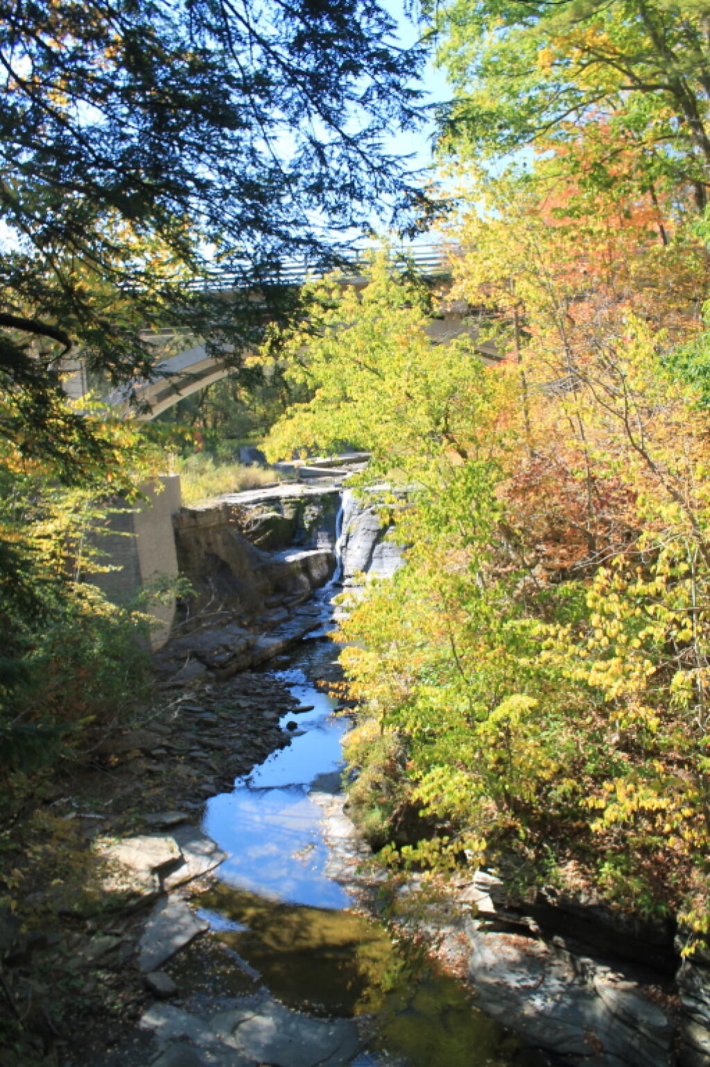 Photo: Bridge Over Mine Kill Falls