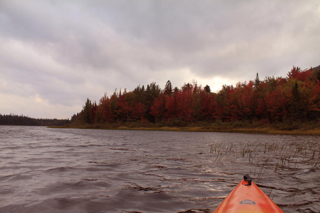 Photo: Paddling Out Along The Flow Photo: Paddling Out Along The Flow