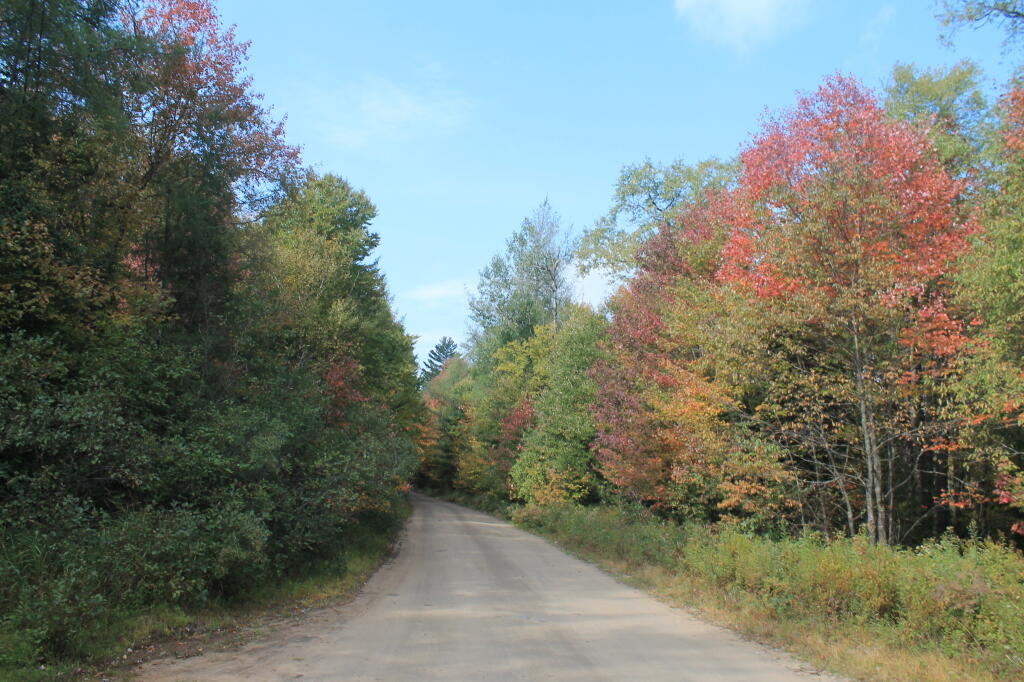 Photo: Plains Road Photo: Plains Road