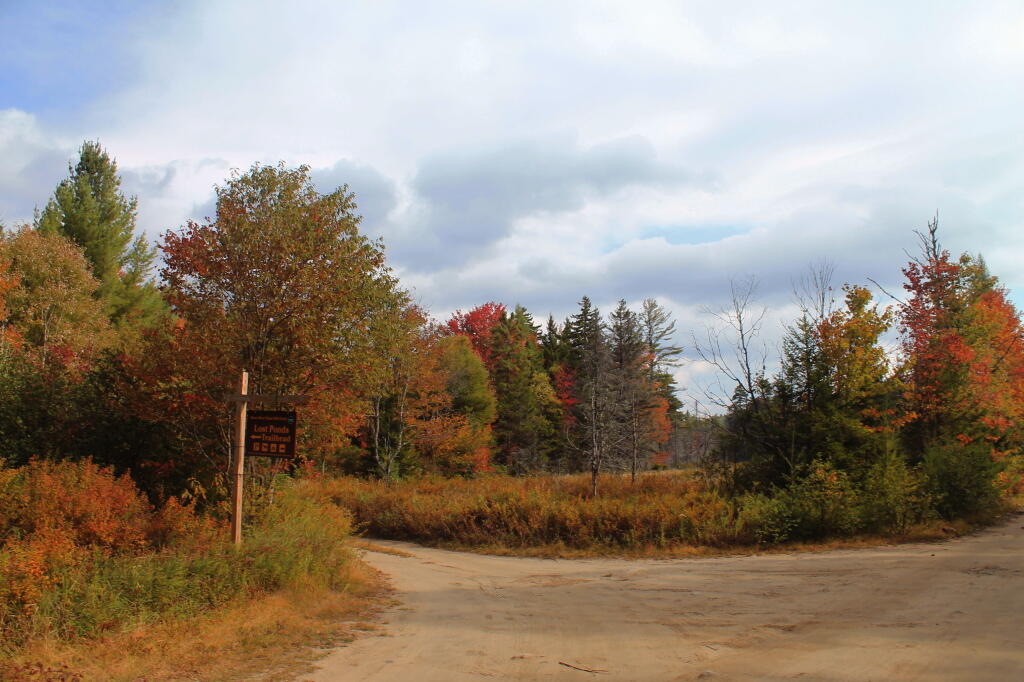 Photo: Lost Ponds Road Photo: Lost Ponds Road