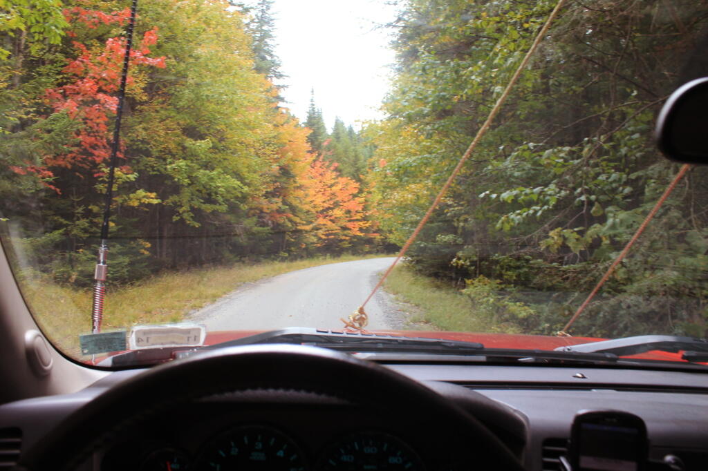 Photo: A Little Ways Past Lost Ponds