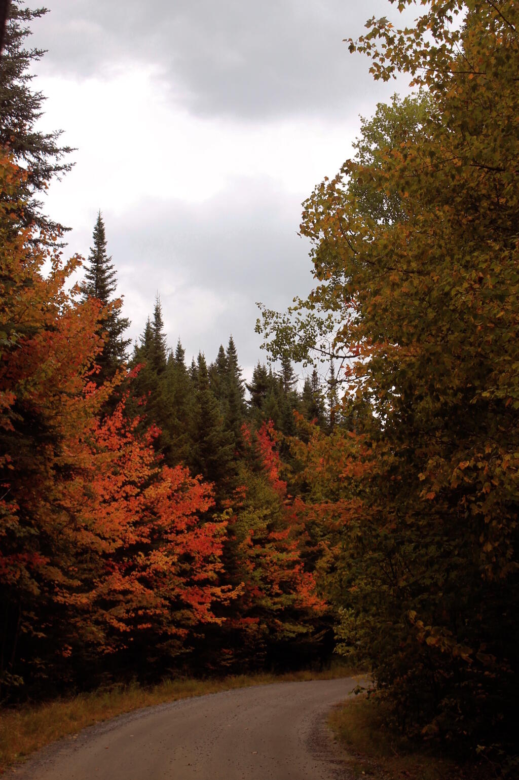 Photo: Winding Along Moose River Road
