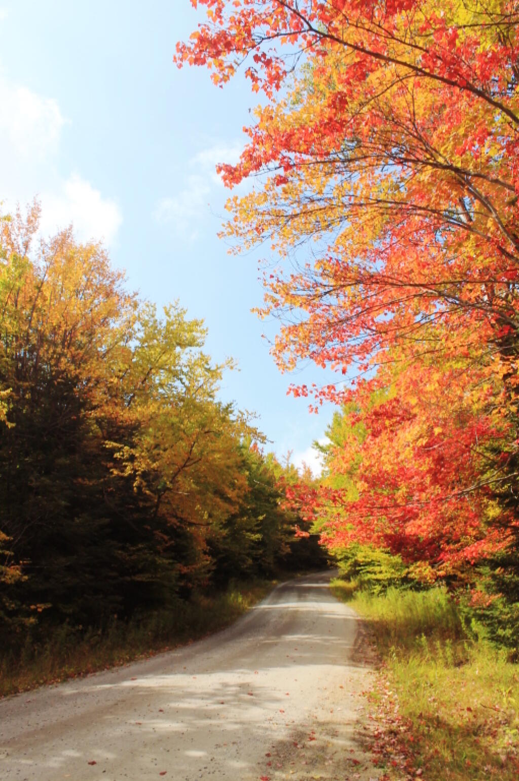 Photo: Heading Up Sturges Hill