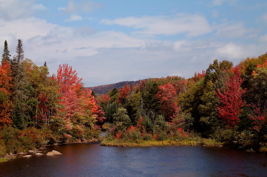 Photo: Cedar River in Fall Photo: Cedar River in Fall