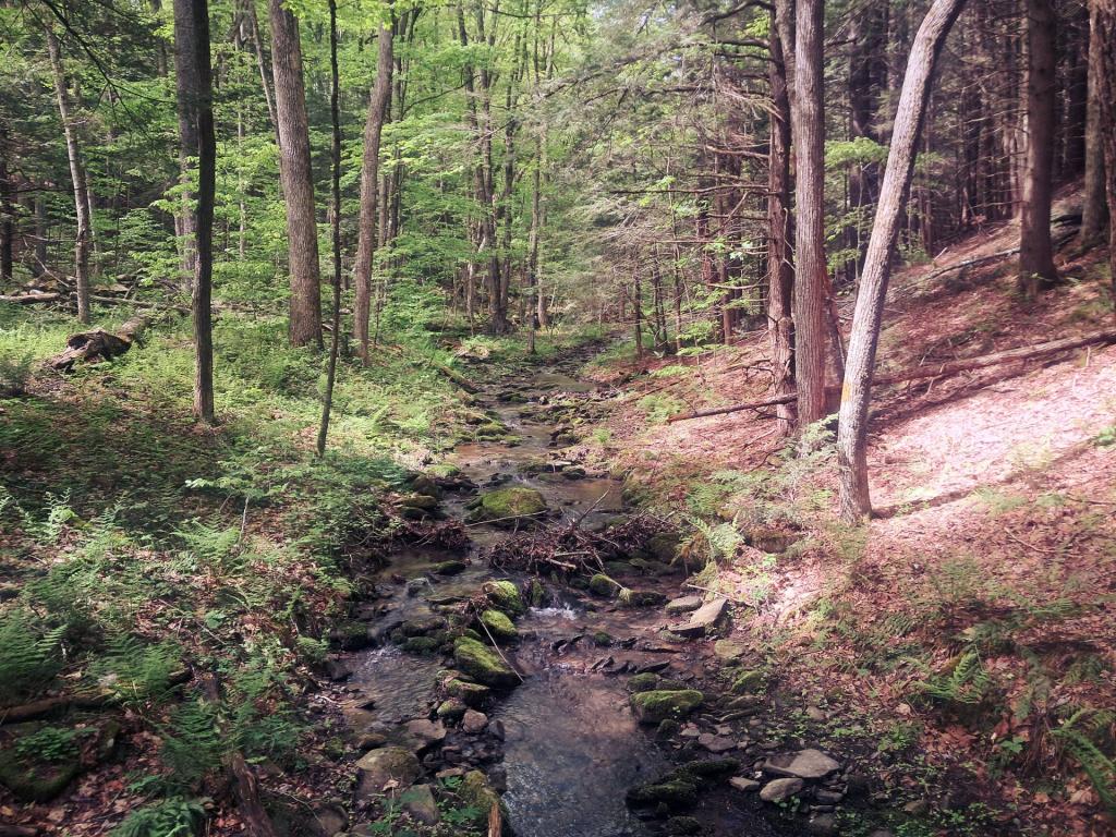 Photo: Cole Stream