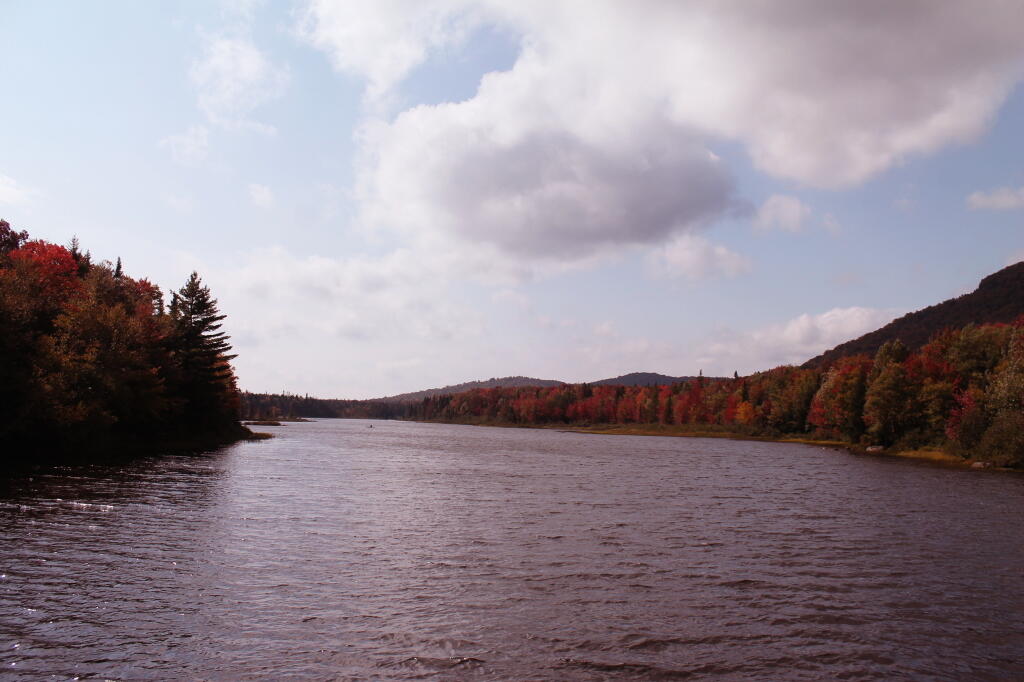 Photo: Cedar River Flow
