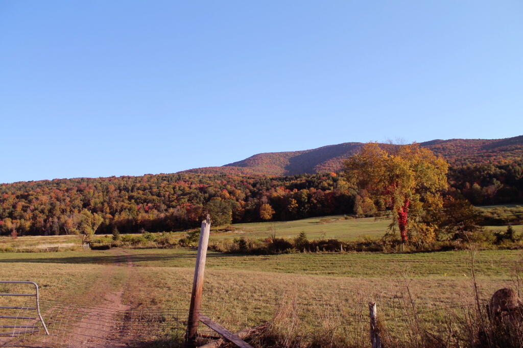 Photo: Field Along NY 990V Photo: Field Along NY 990V
