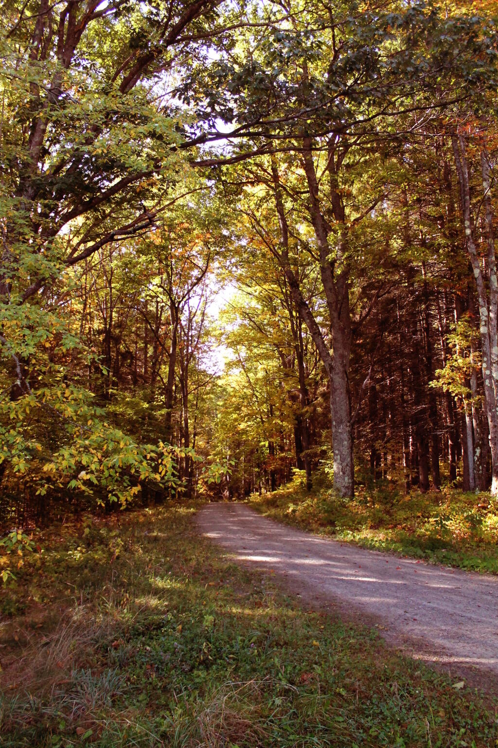 Photo: Duck Pond Road Photo: Duck Pond Road