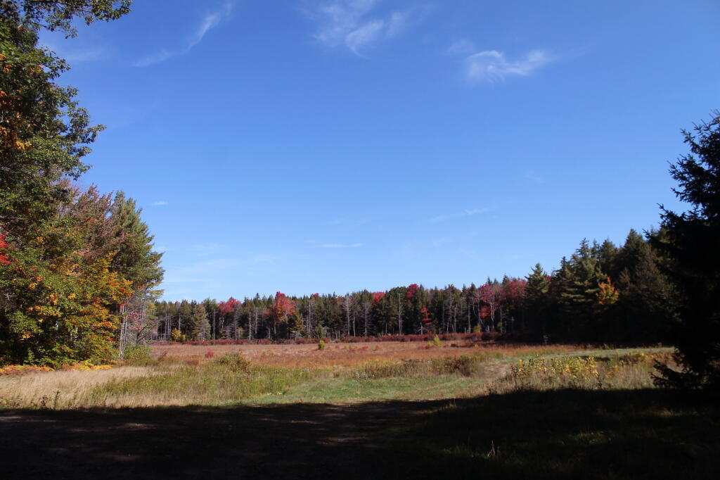 Photo: Duck Pond Photo: Duck Pond