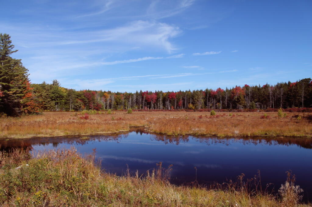 Photo: Duck Pond from the Dam Photo: Duck Pond from the Dam