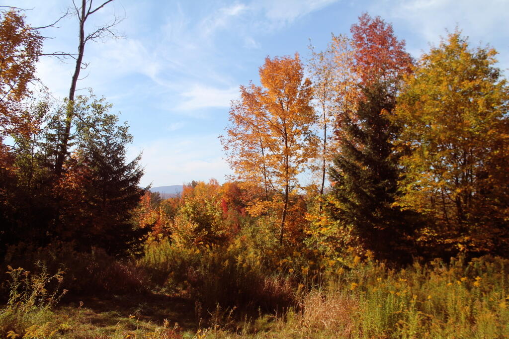 Photo: Along Burnt Hill Road Photo: Along Burnt Hill Road