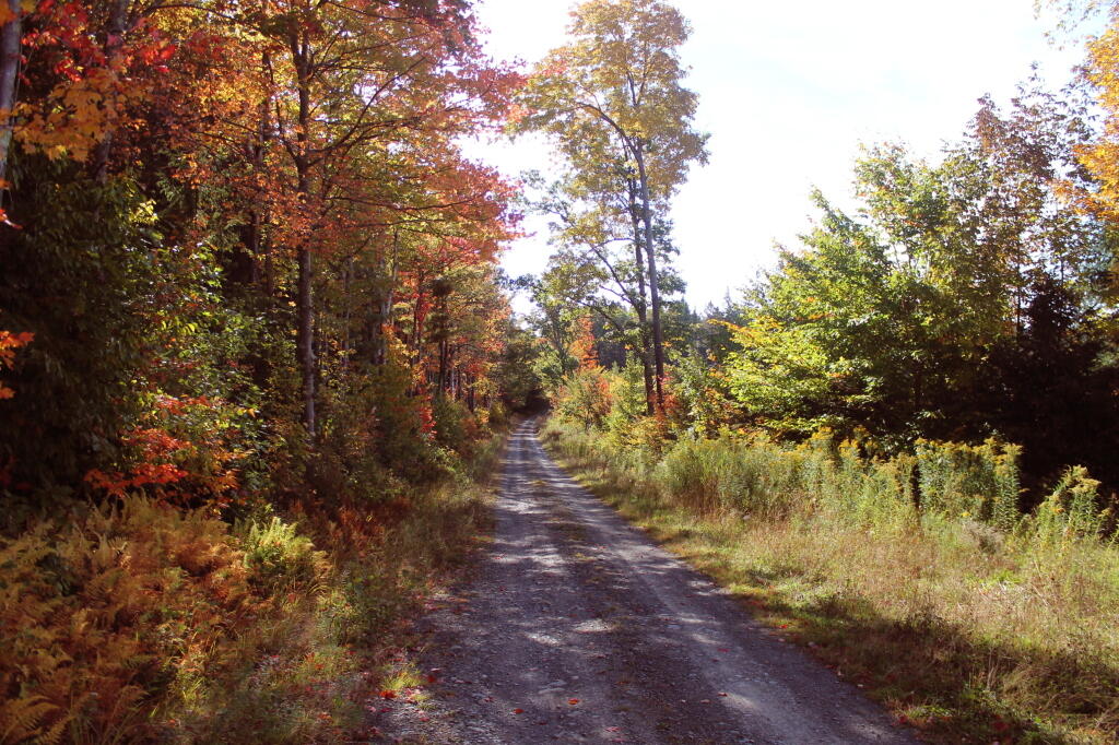 Photo: Burnt Hill Road