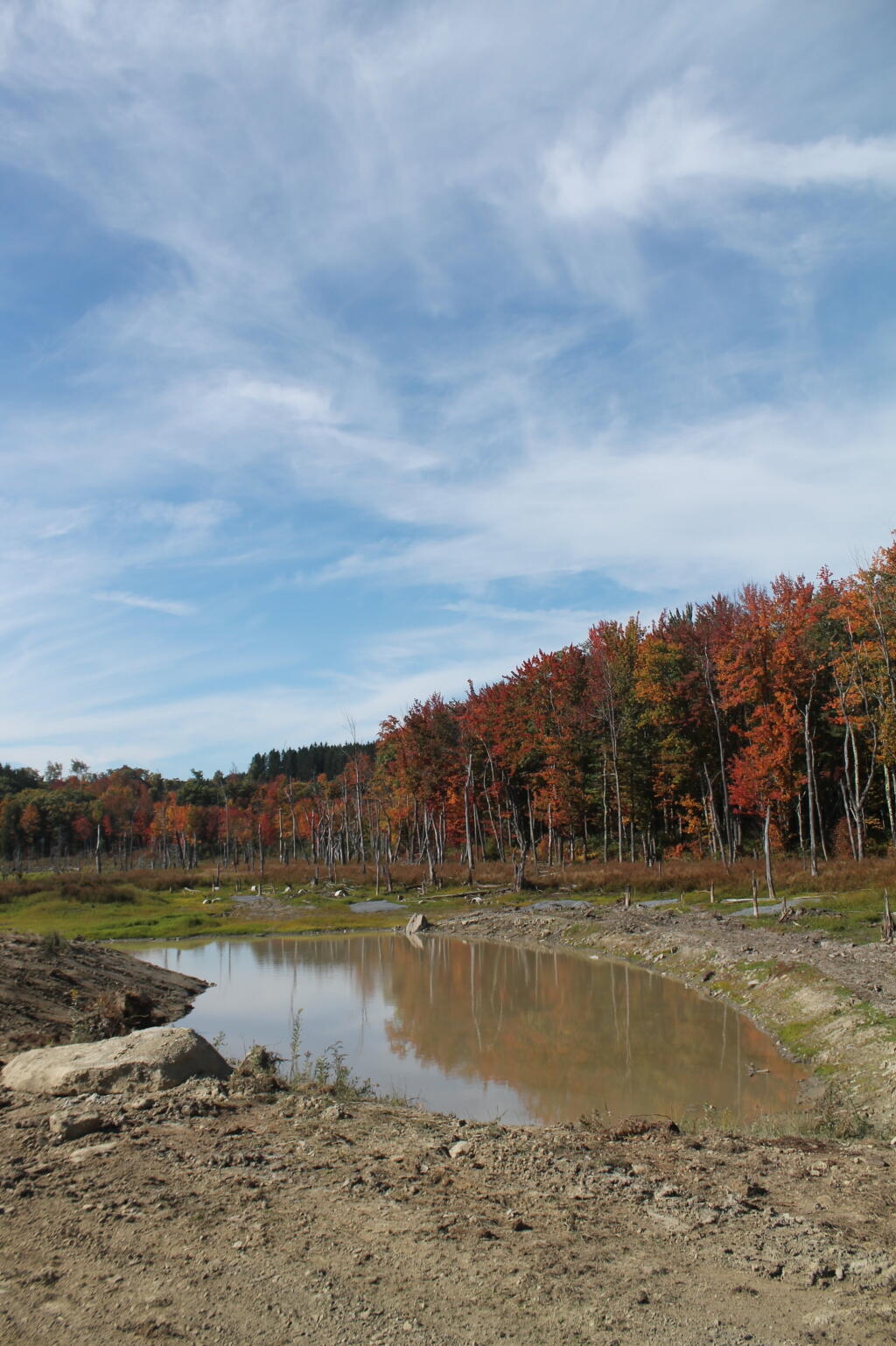 Photo: Drained Duck Pond