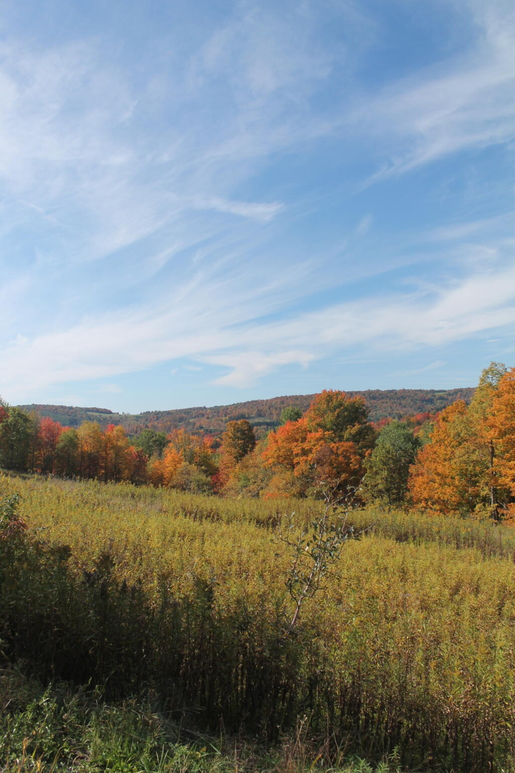 Photo: Looking Into Warton Hollow Photo: Looking Into Warton Hollow
