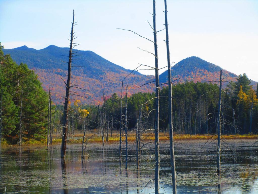 Photo: Little and Big Burn Mountain Photo: Little and Big Burn Mountain