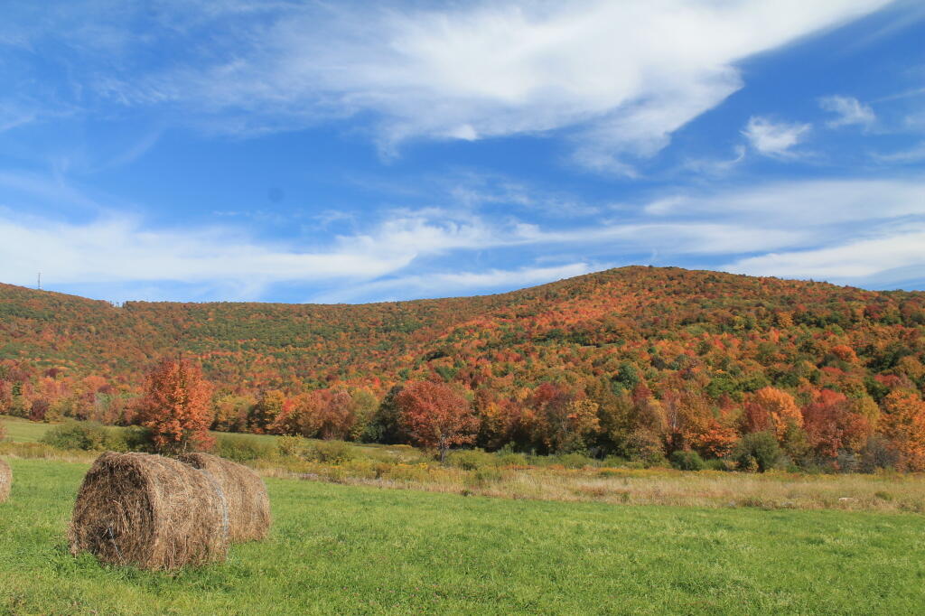 Photo: Moresville Range Photo: Moresville Range