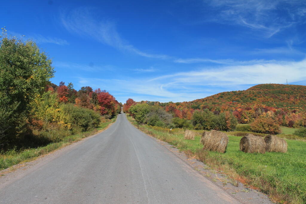 Photo: Tower Mountain Road