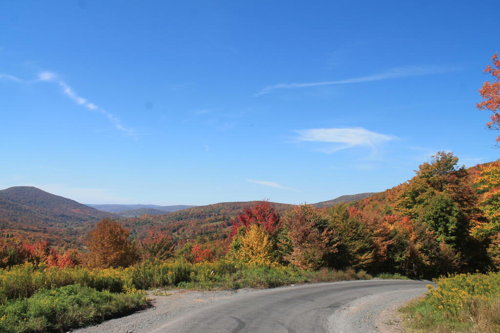 Photo: North into the Valley Photo: North into the Valley