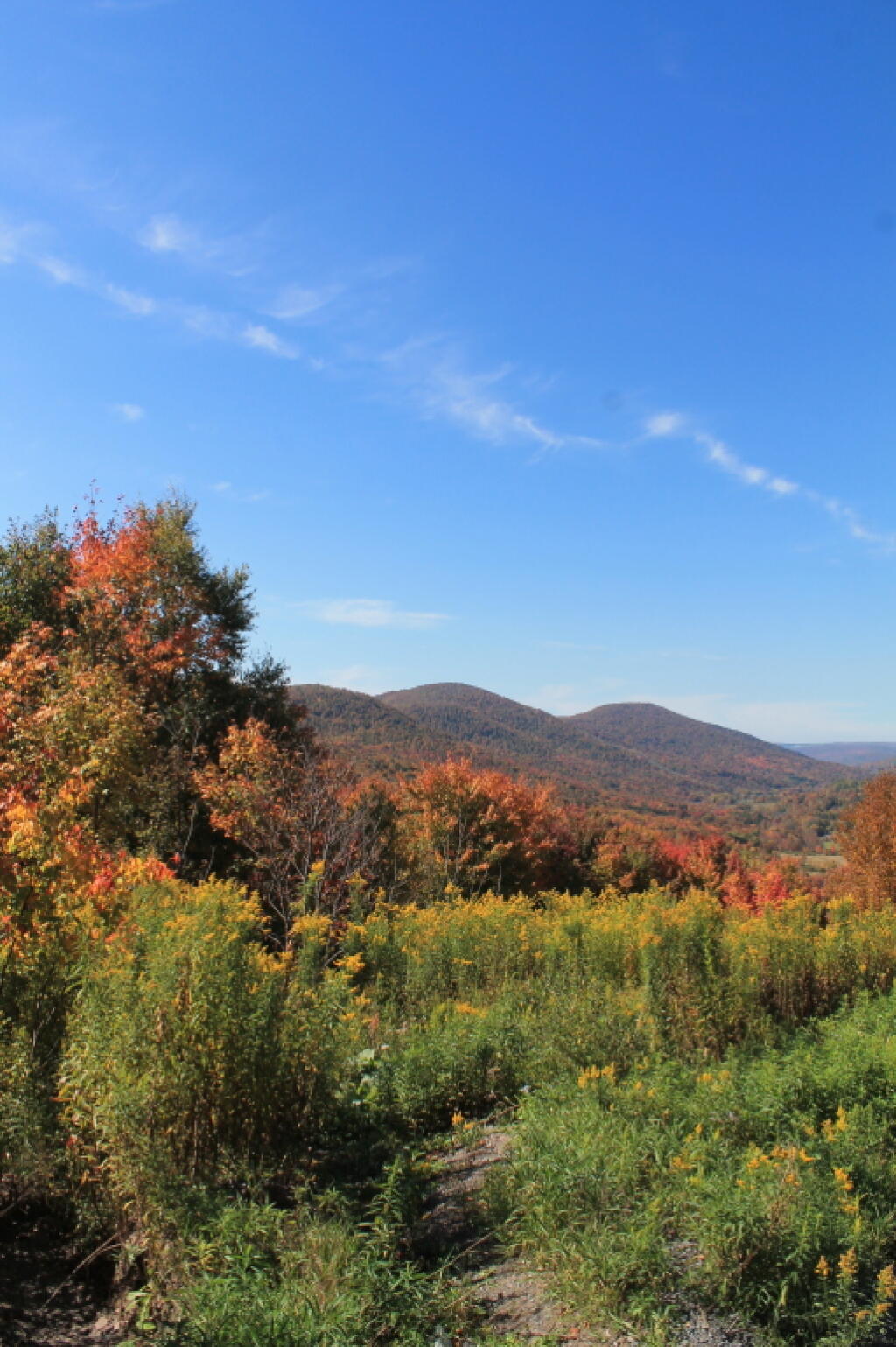 Photo: Very Fall Like Photo: Very Fall Like