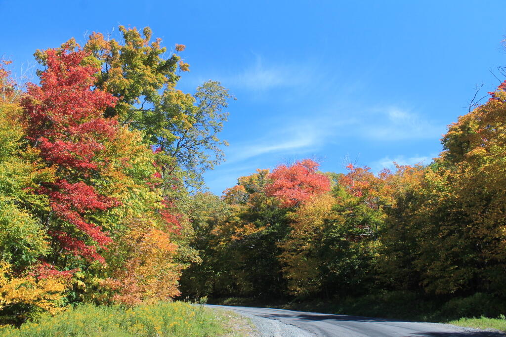 Photo: Great Colors Climbing the Mountain