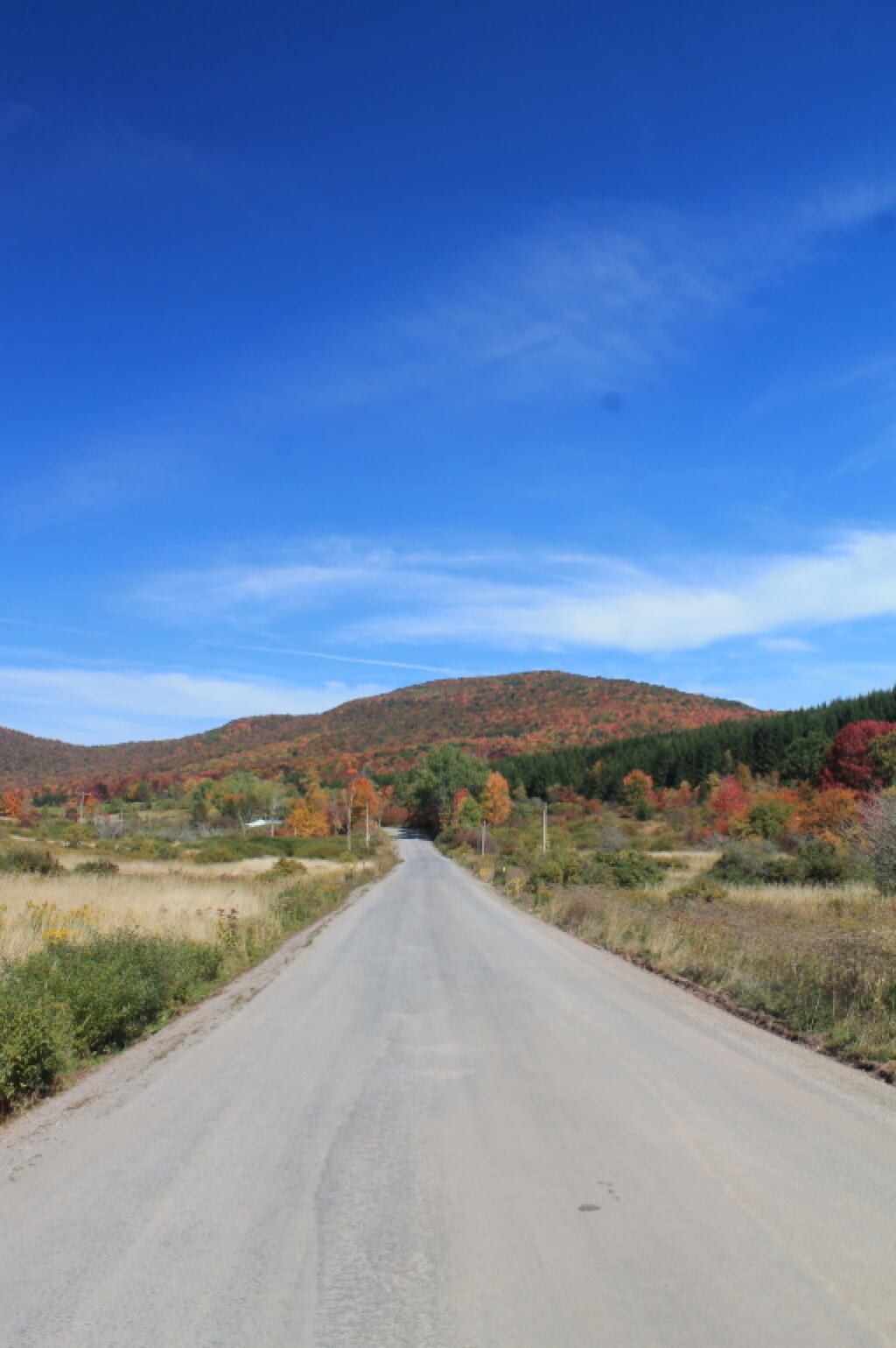 Photo: John Burroughs Memorial Road Extension