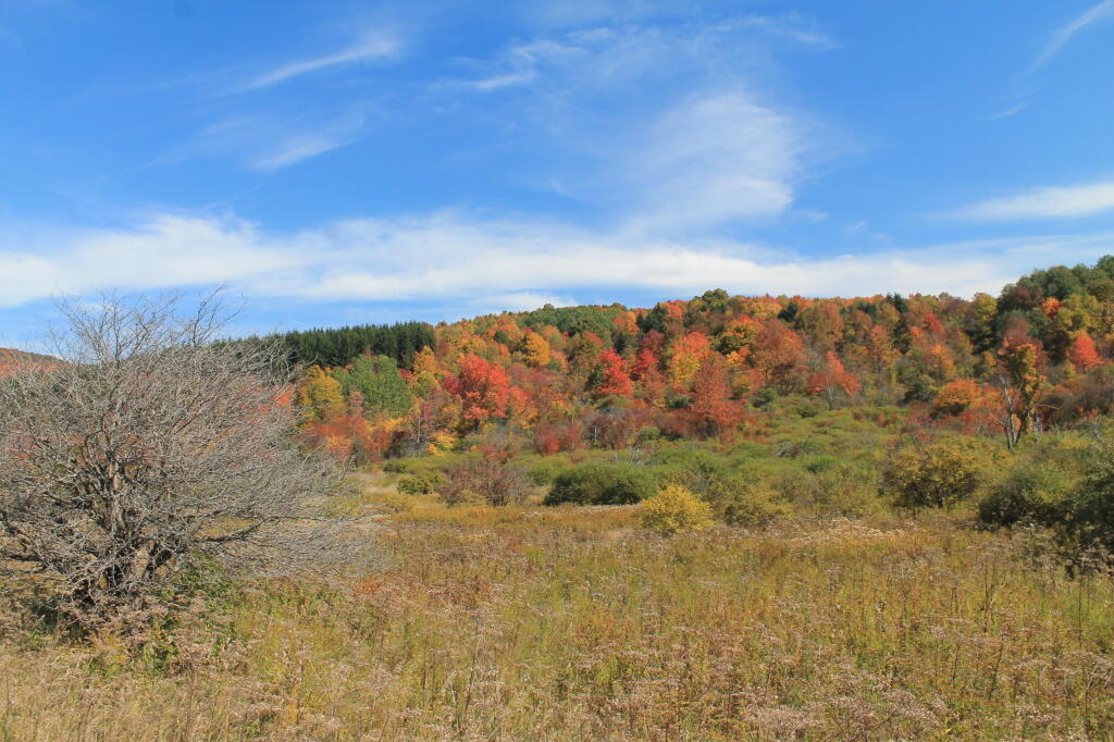 Photo: At Peak Color Photo: At Peak Color