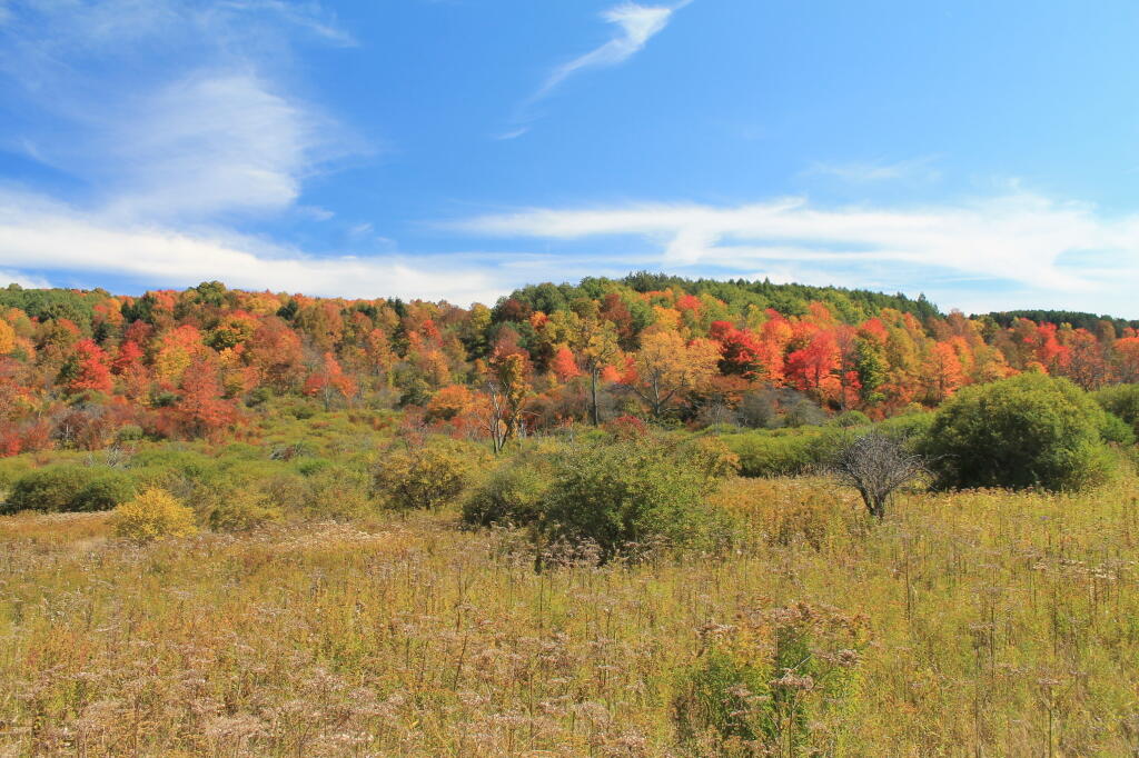 Photo: Very Colorful