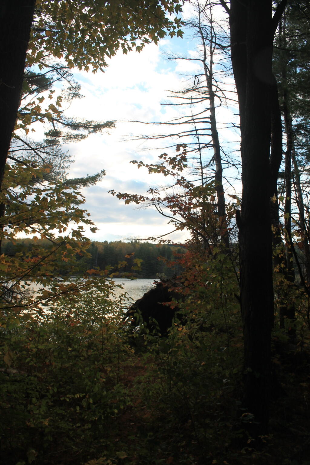 Photo: Sitting down at the creek with the dog