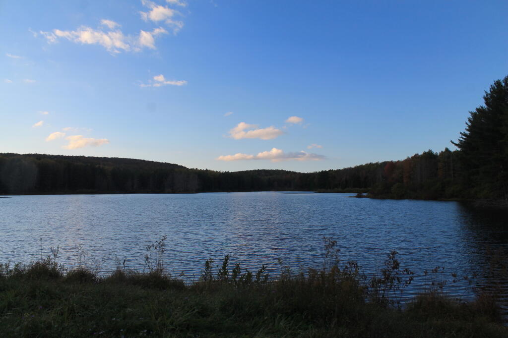 Photo: Evening at Stoney Pond