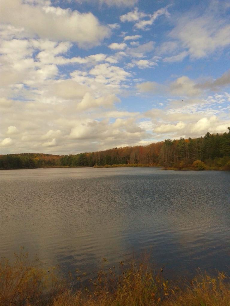 Photo: Fall Afternoon at Stoney Pond State Forest