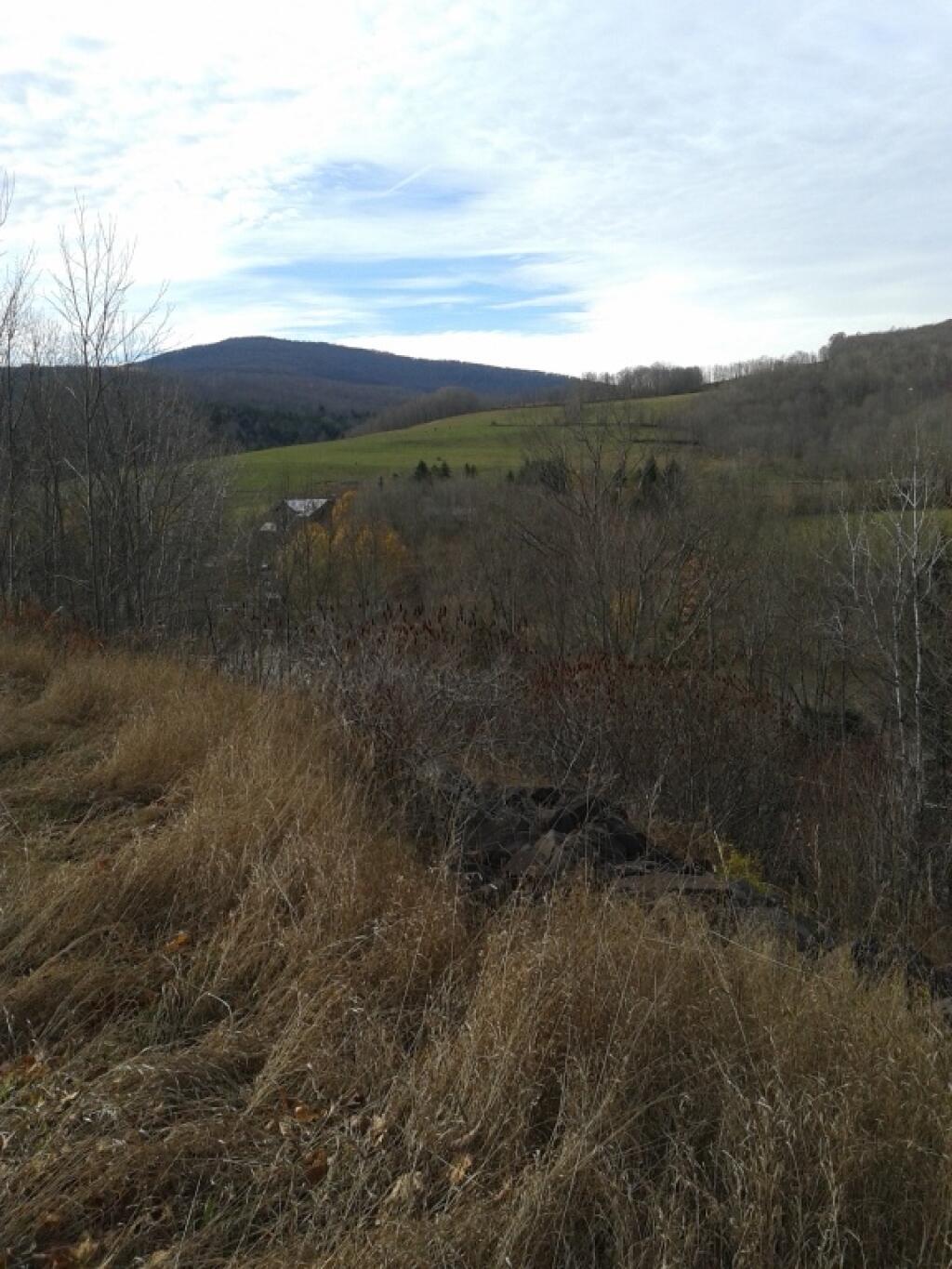 Photo: View from Rest Area