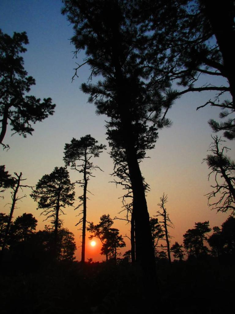 Photo: Untitled Photo: Untitled