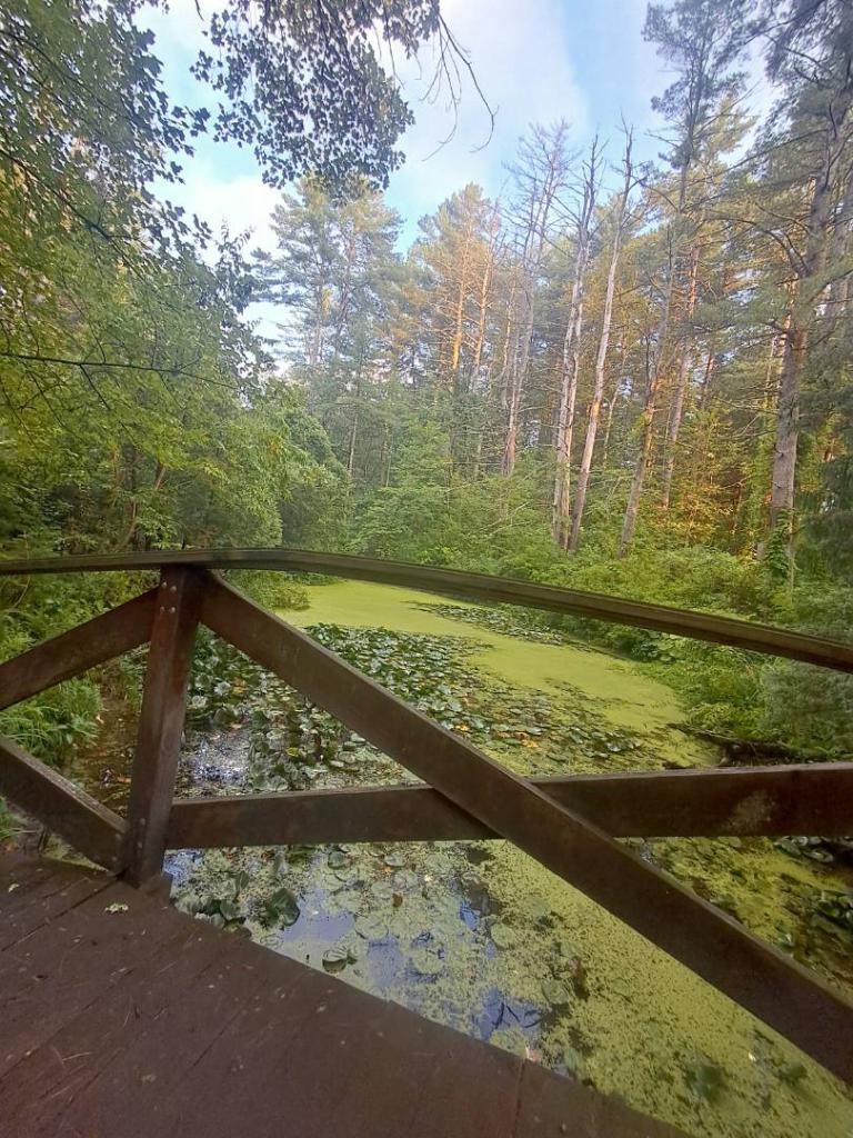 Photo: Bridge