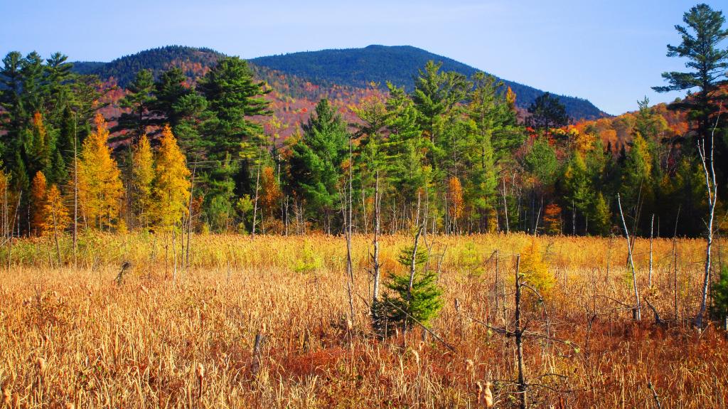 Photo: McKenzie Mountain