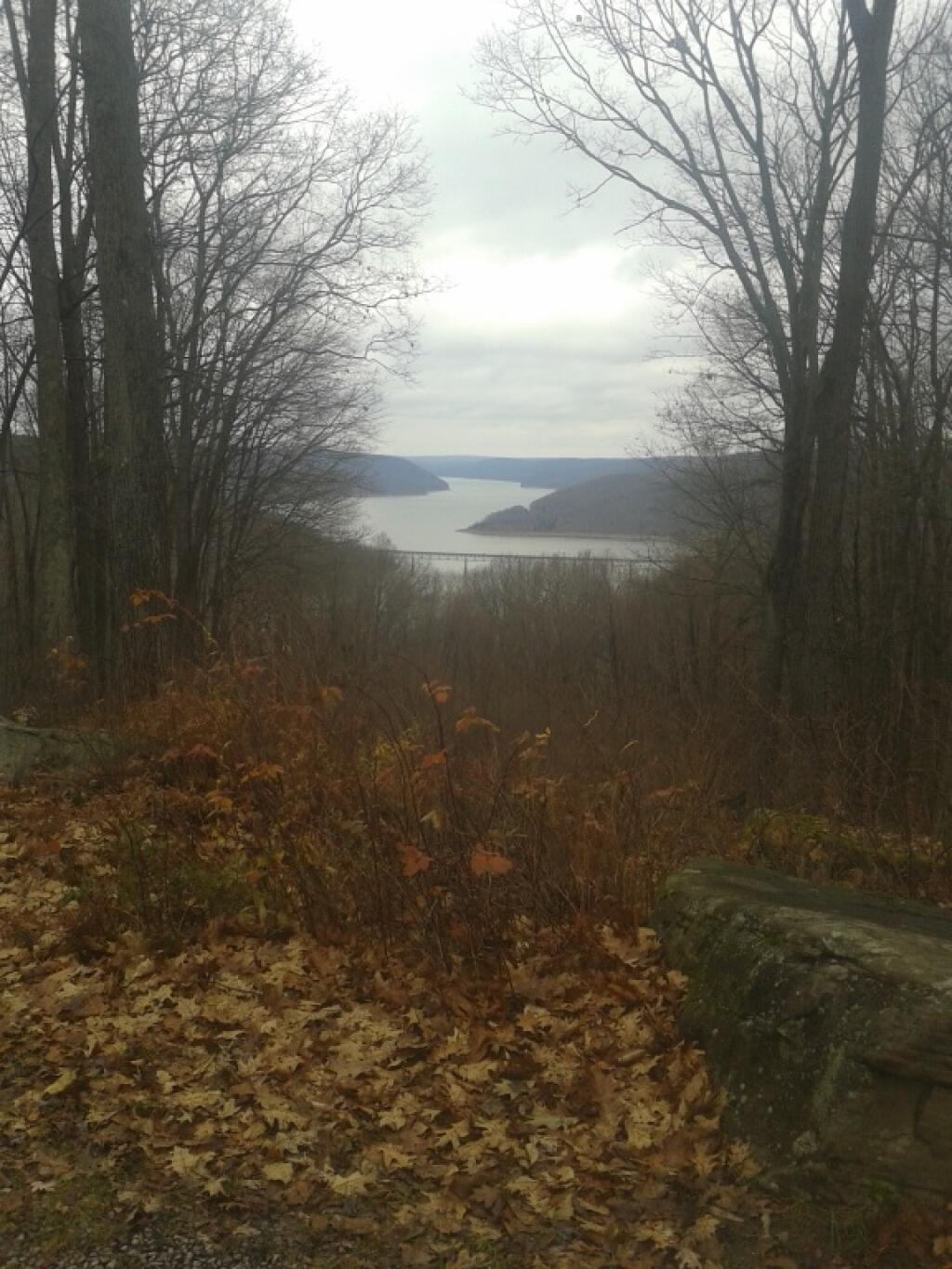 Photo: Overlook from Forest Road 492