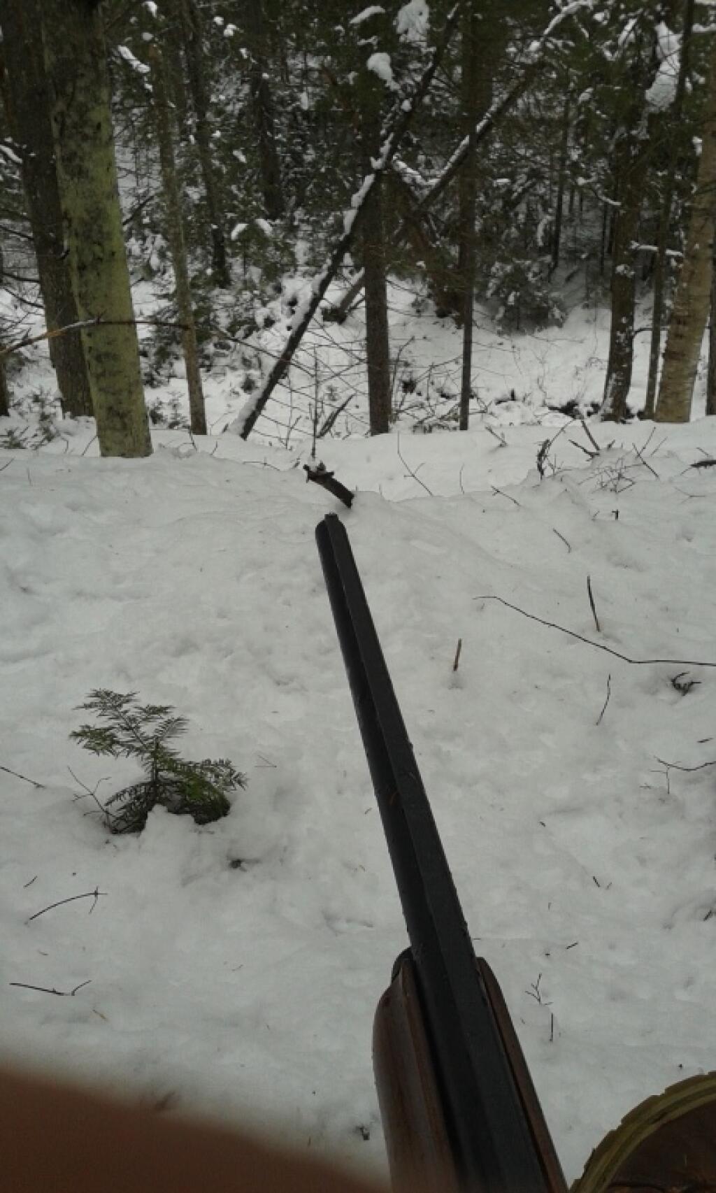 Photo: Winter-time hunting on the East Branch