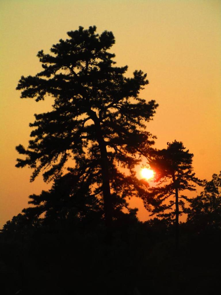 Photo: Untitled Photo: Untitled