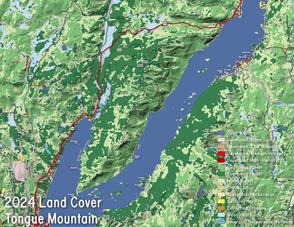 Photo: Tongue Mountain Land Cover