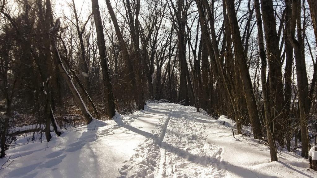 Photo: Nice day for skiing 🎿