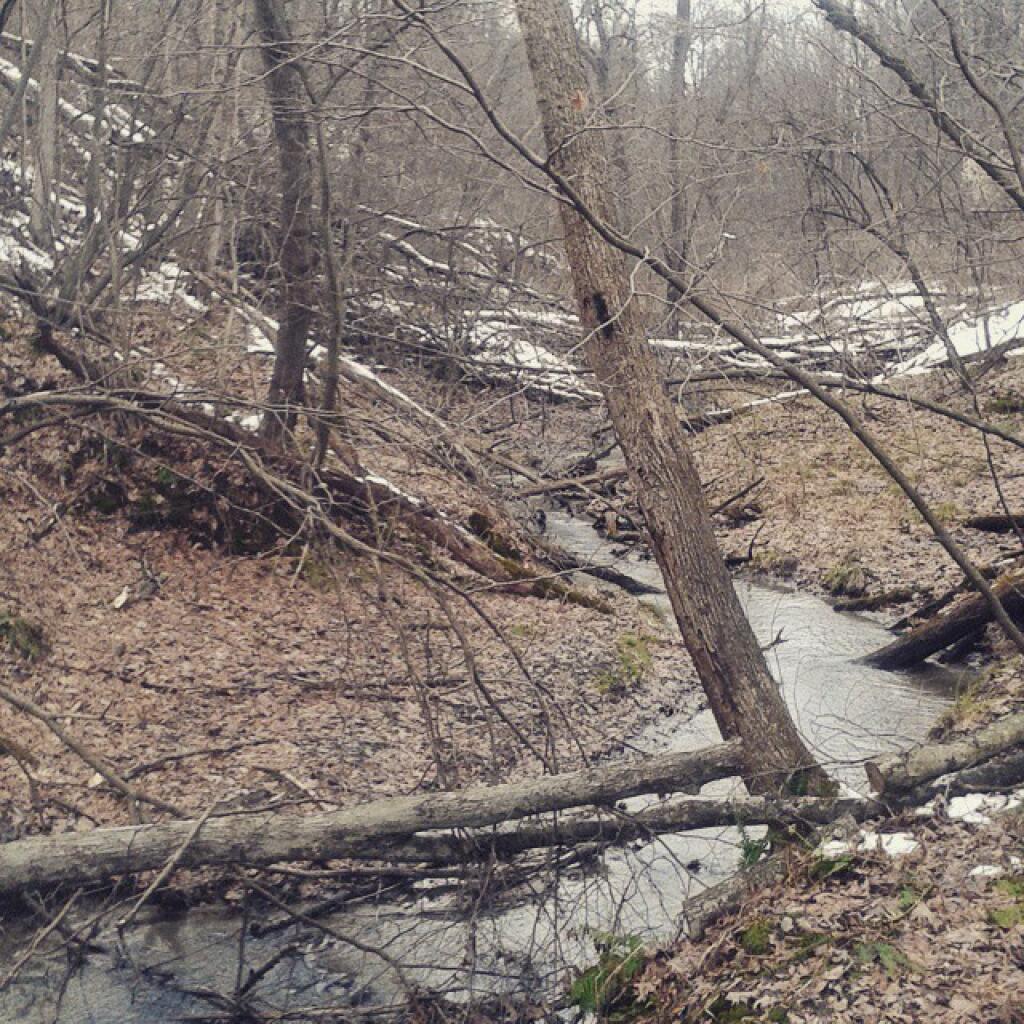 Photo: Bridge across one of the branches of the Hunger Kill