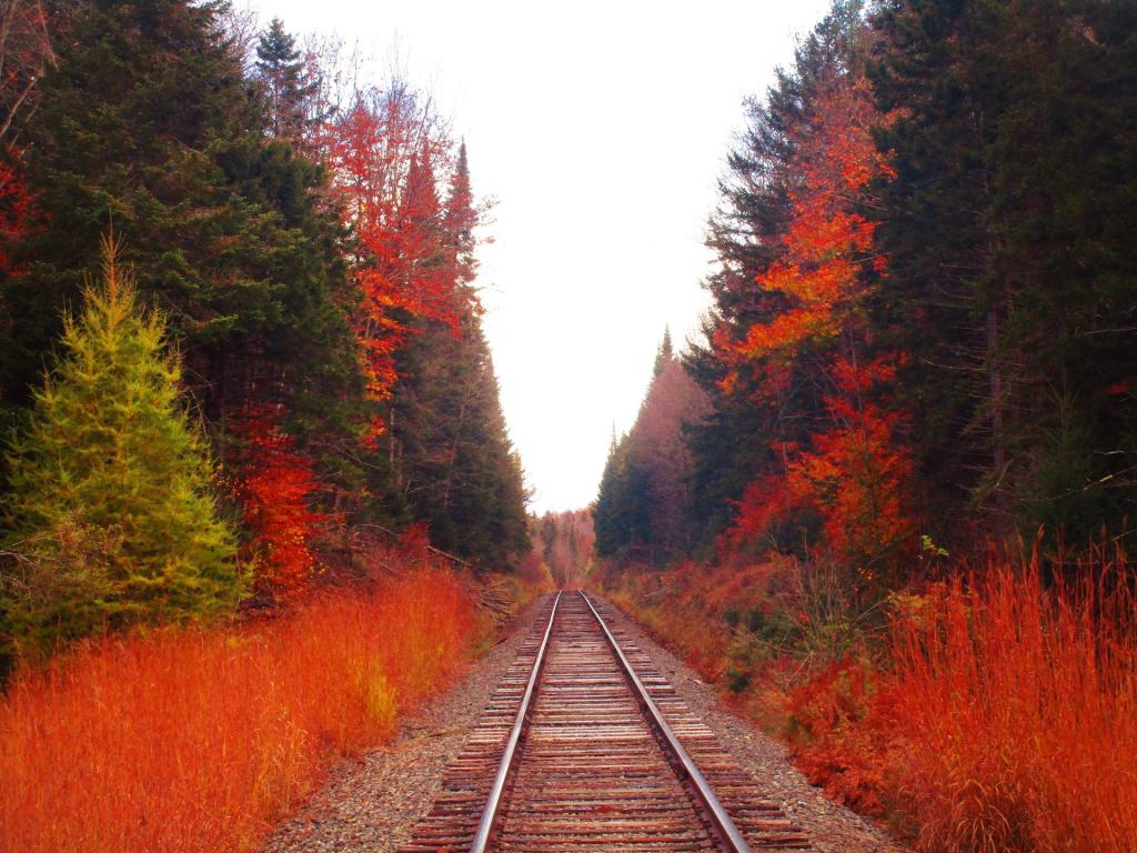 Photo: Cutting through the Wilderness