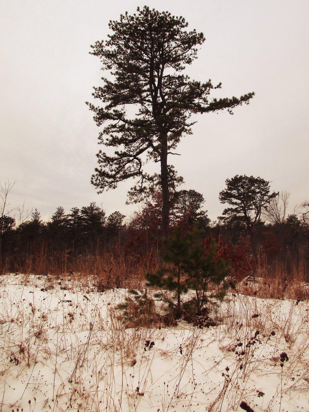 Photo: Quiet
