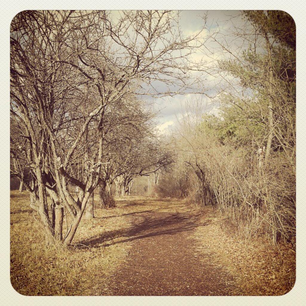 Photo: Doesn't look like Christmas out here.