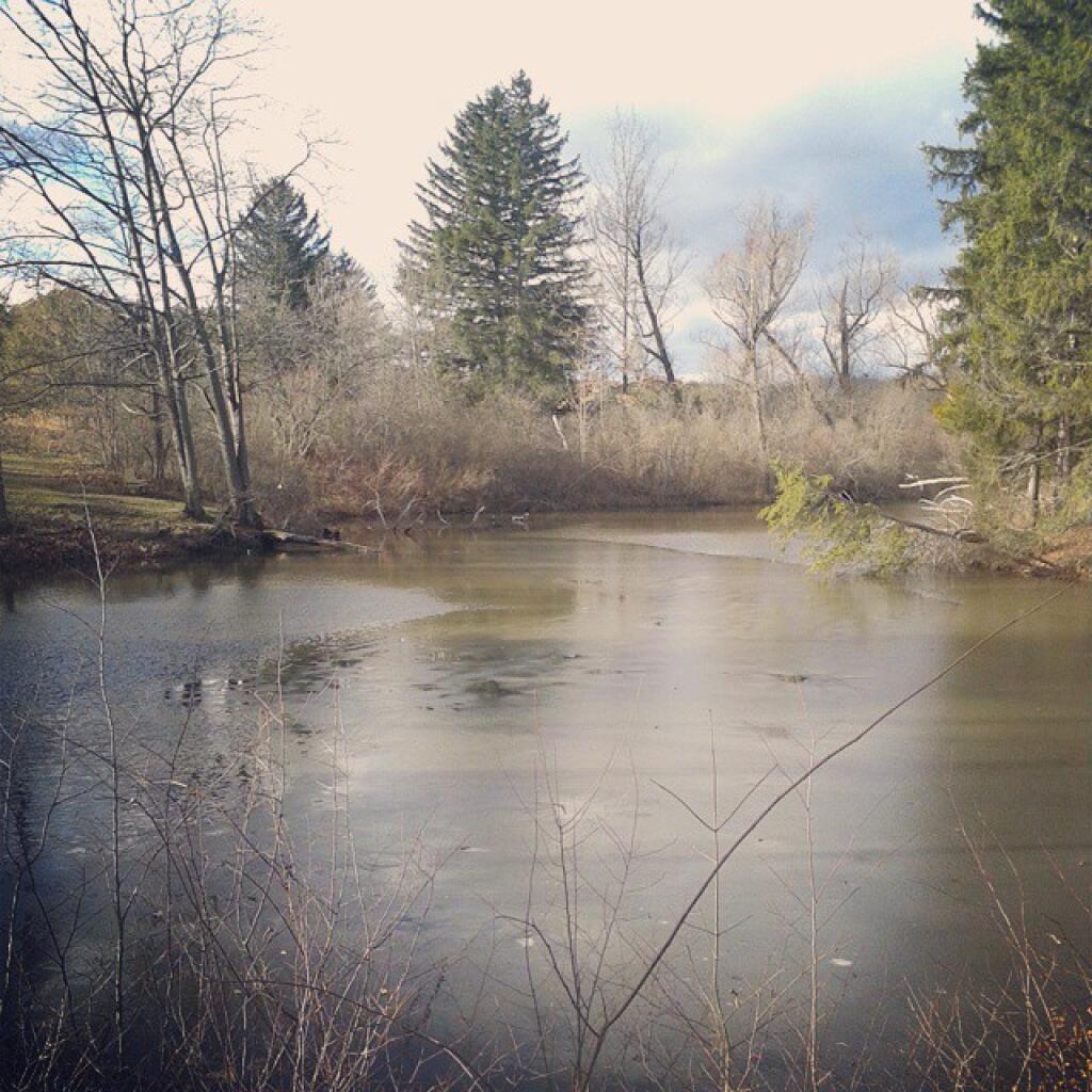 Photo: Only a small skim of ice on the pond today Photo: Only a small skim of ice on the pond today