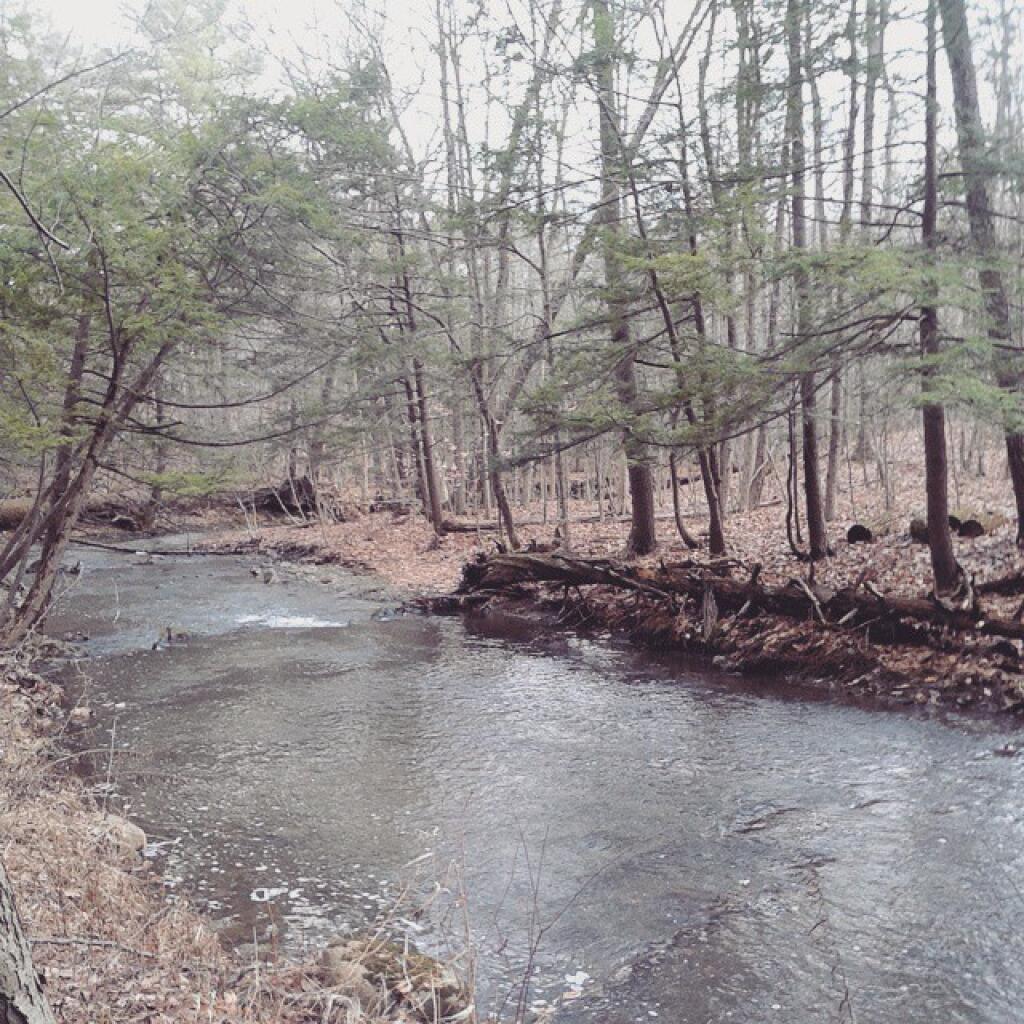 Photo: Not a drop of ice on the Vlomans Kill Photo: Not a drop of ice on the Vlomans Kill