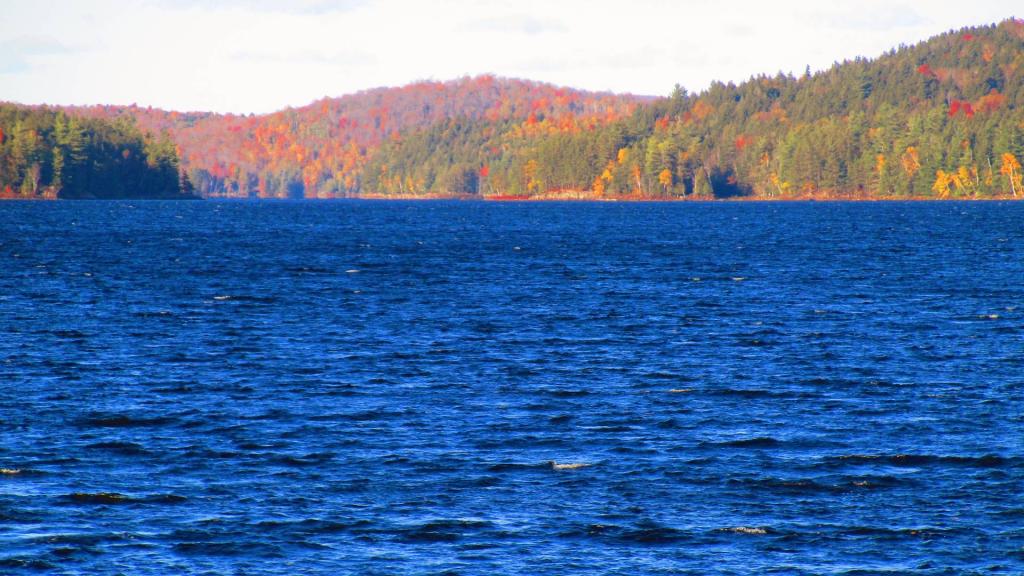 Photo: Choppy Day on Tupper Lake Photo: Choppy Day on Tupper Lake